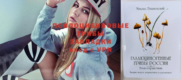 ГАЛЛЮЦИНОГЕННЫЕ ГРИБЫ Нягань